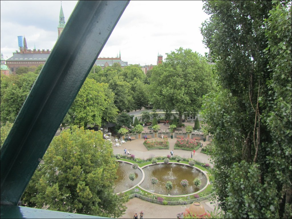 IMG_3545.JPG