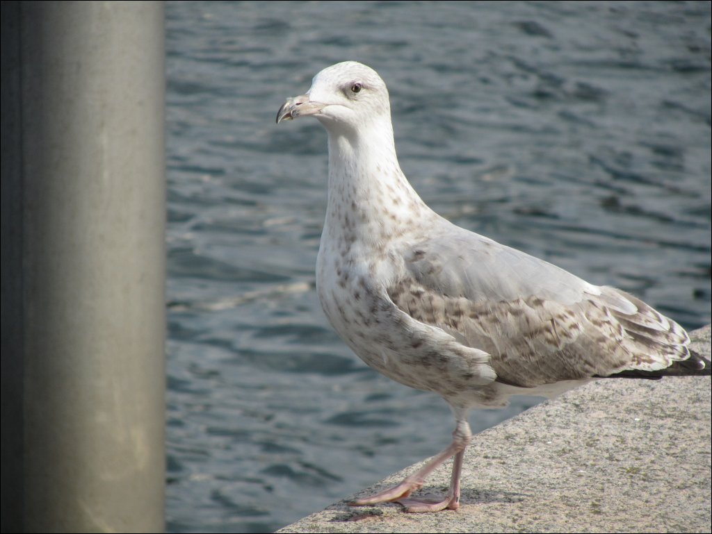 IMG_3859.JPG
