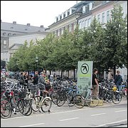 IMG_3332.JPG