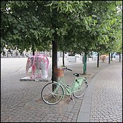 IMG_3350.JPG