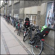 IMG_3451.JPG