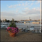 IMG_3479.JPG