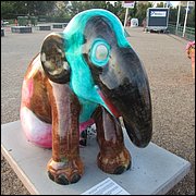 IMG_3480.JPG