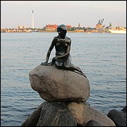 IMG_3503.JPG