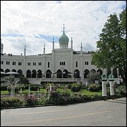 IMG_3535.JPG