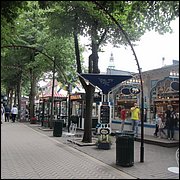 IMG_3558.JPG