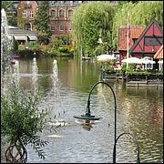 IMG_3596.JPG