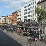 IMG_3663.JPG