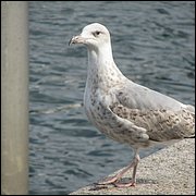 IMG_3859.JPG