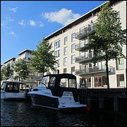 IMG_4115.JPG