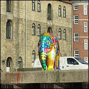 IMG_4135.JPG