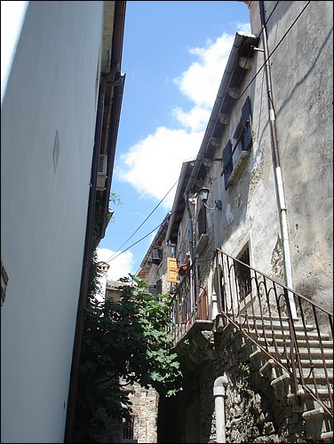 DSC05792.JPG