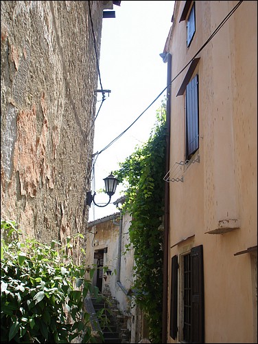 DSC05793.JPG