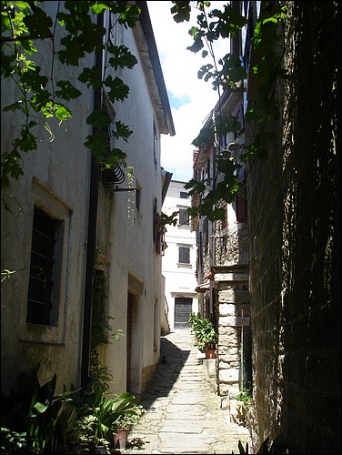 DSC05801.JPG