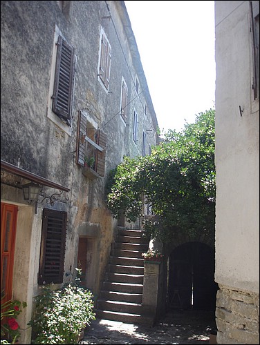 DSC05802.JPG