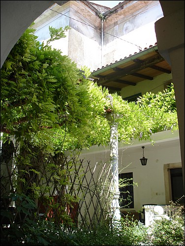 DSC05824.JPG
