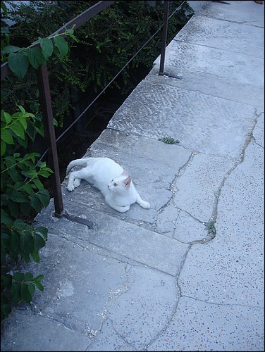 DSC05759.JPG