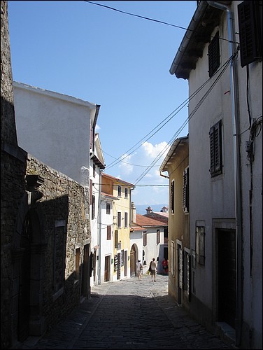 DSC05769.JPG