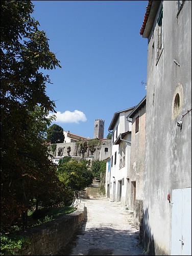 DSC05774.JPG