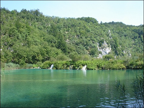 DSC05998.JPG