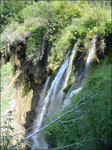 DSC06000.JPG