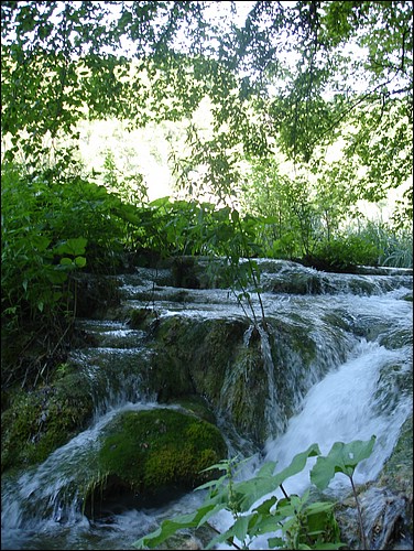 DSC06008.JPG