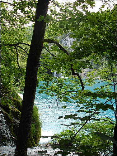 DSC06053.JPG