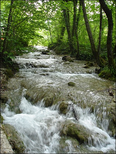 DSC06054.JPG