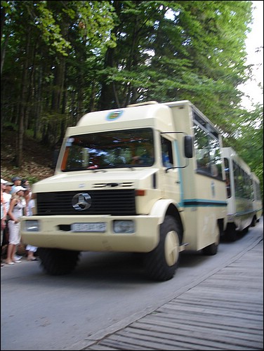 DSC06109.JPG