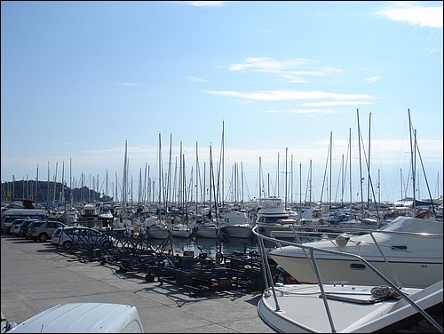 DSC05575.JPG