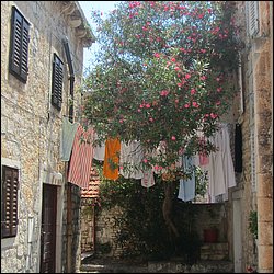 IMG_9274.JPG