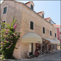 IMG_9284.JPG