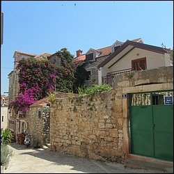 IMG_9287.JPG