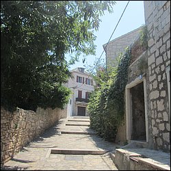 IMG_9292.JPG