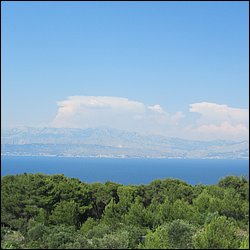 IMG_9303.JPG