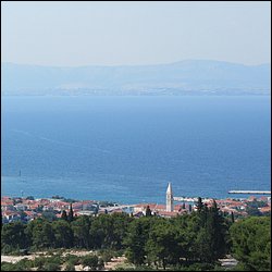 IMG_9305.JPG