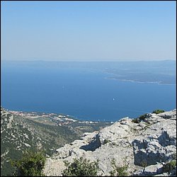 IMG_9311.JPG
