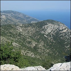 IMG_9313.JPG