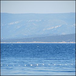IMG_9348.JPG