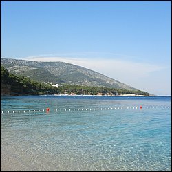 IMG_9354.JPG