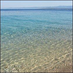 IMG_9357.JPG