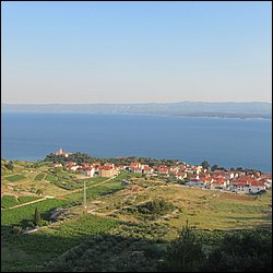 IMG_9376.JPG