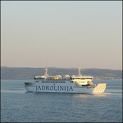 IMG_9378.JPG