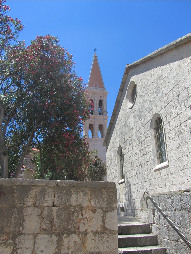 IMG_9832.JPG