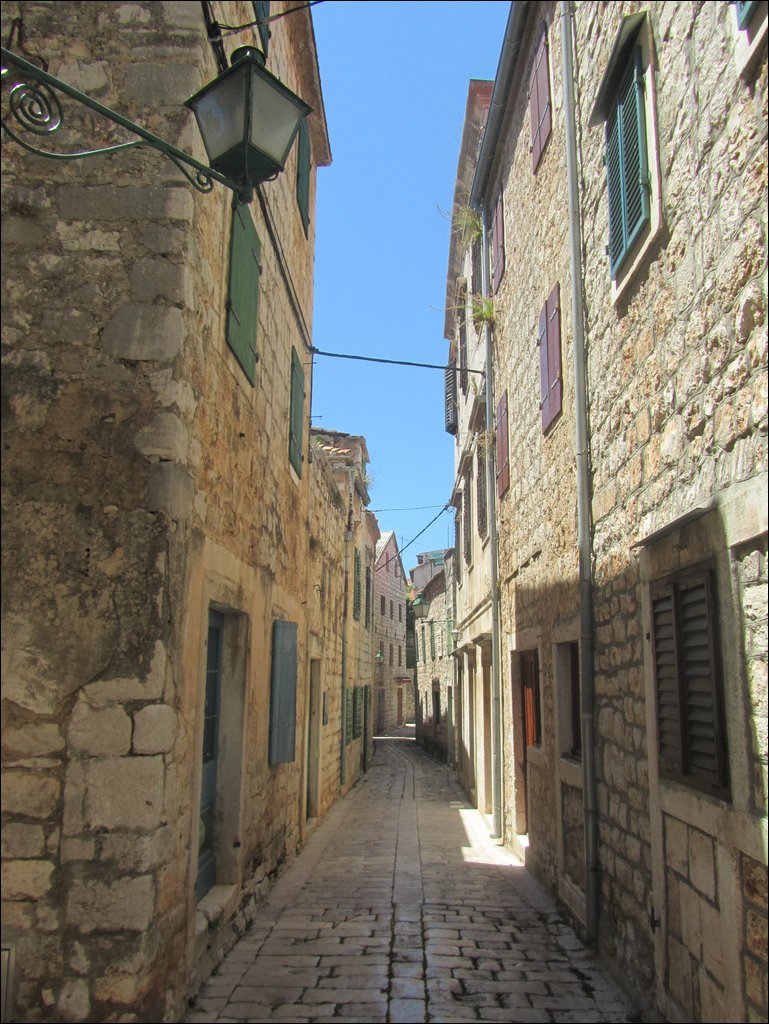 IMG_9844.JPG