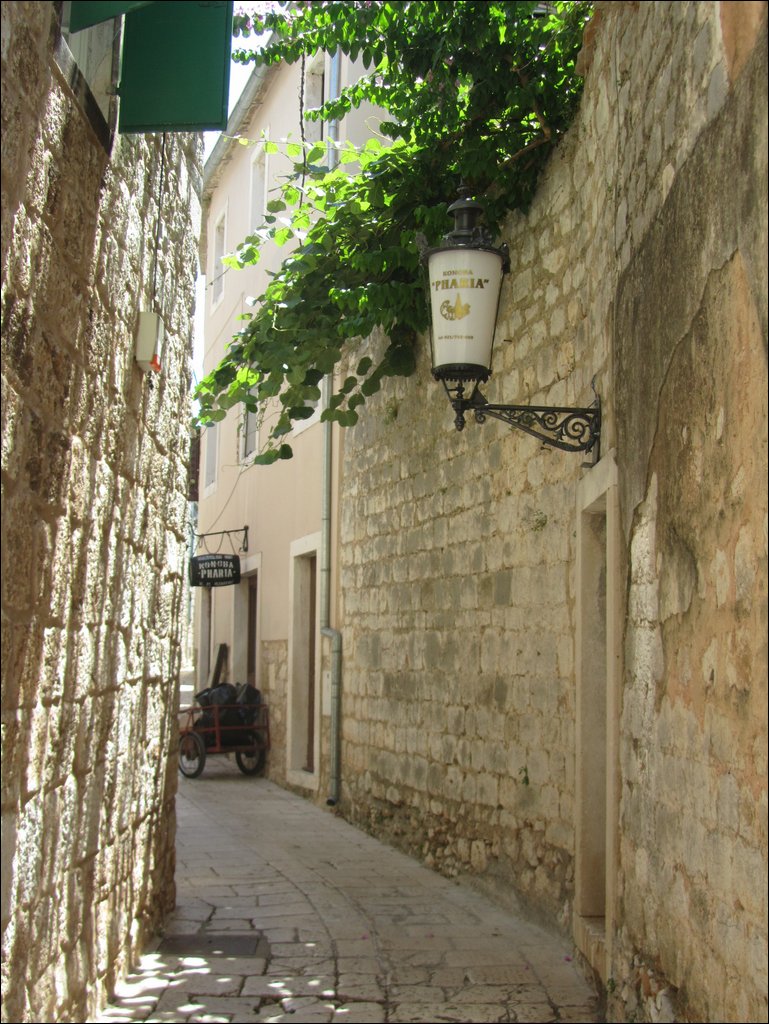 IMG_9845.JPG