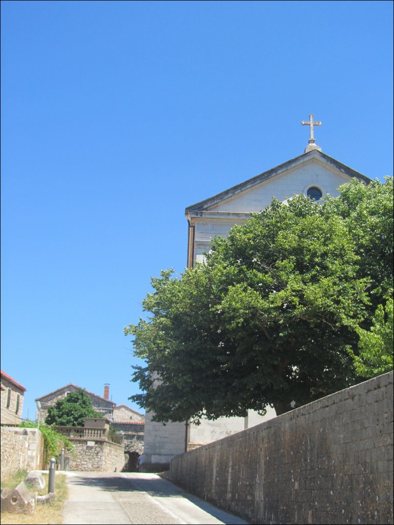 IMG_9858.JPG