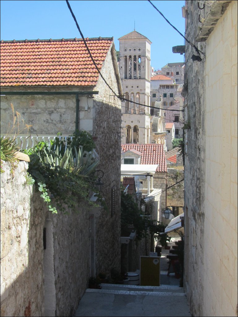 IMG_9870.JPG