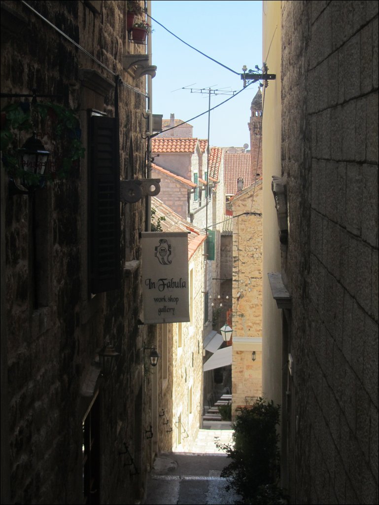 IMG_9875.JPG