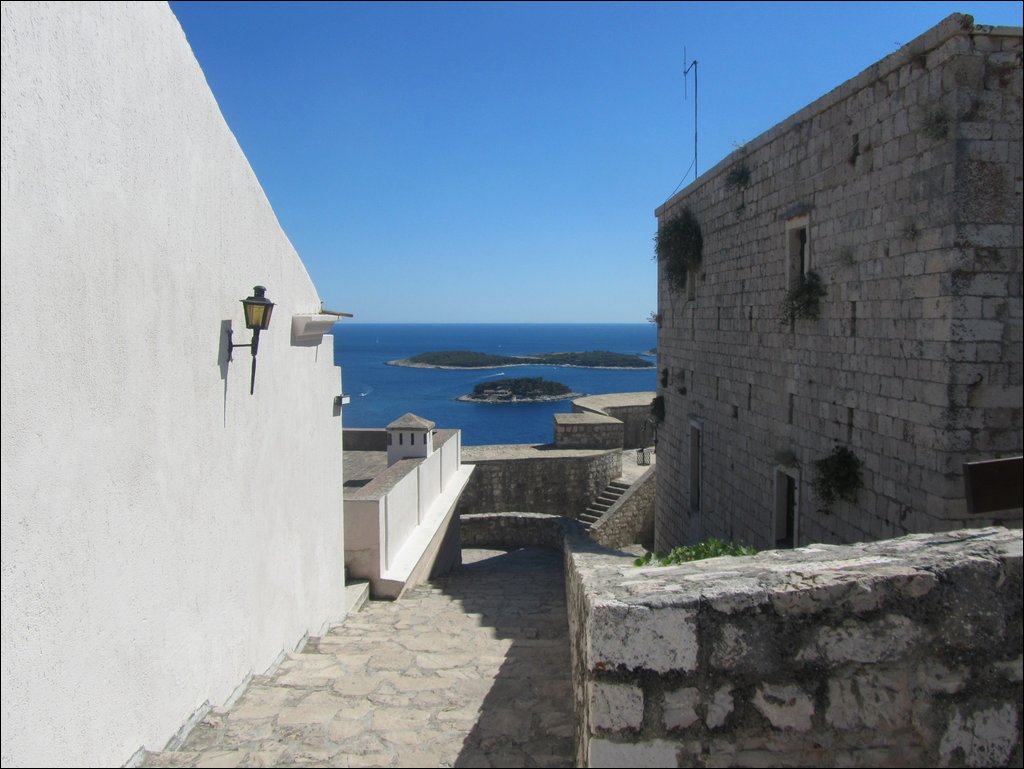 IMG_9885.JPG